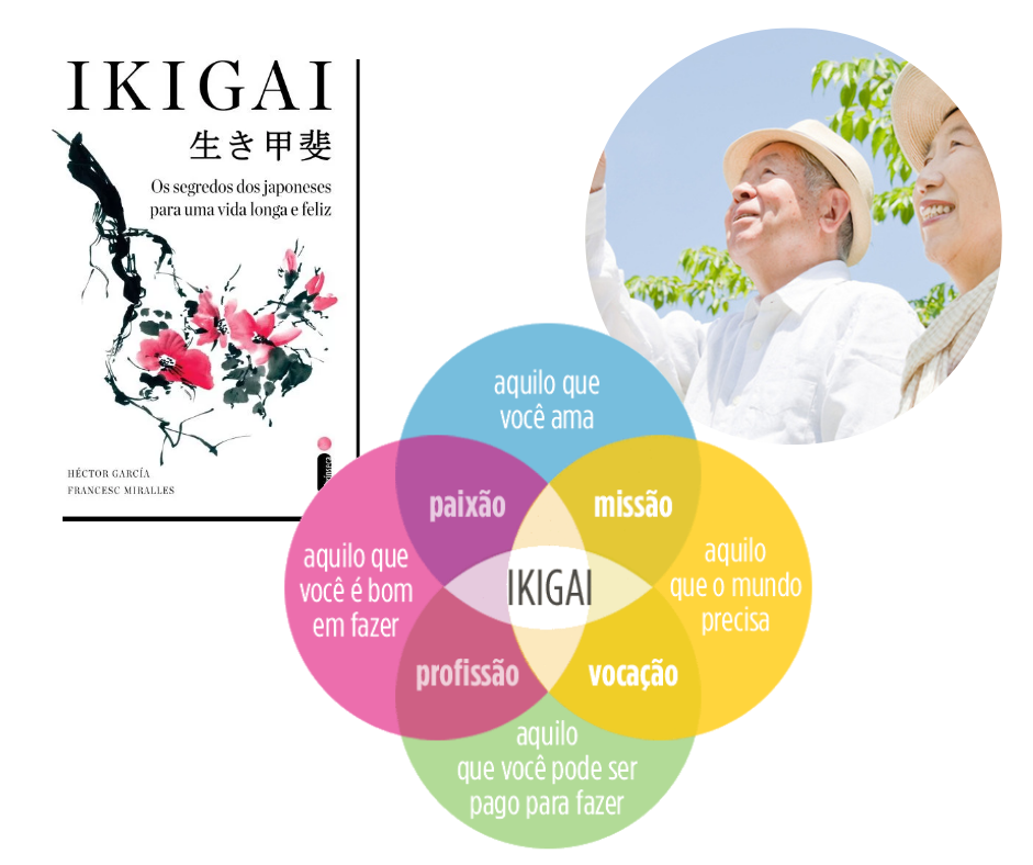 Resumo e infográfico do livro Ikigai