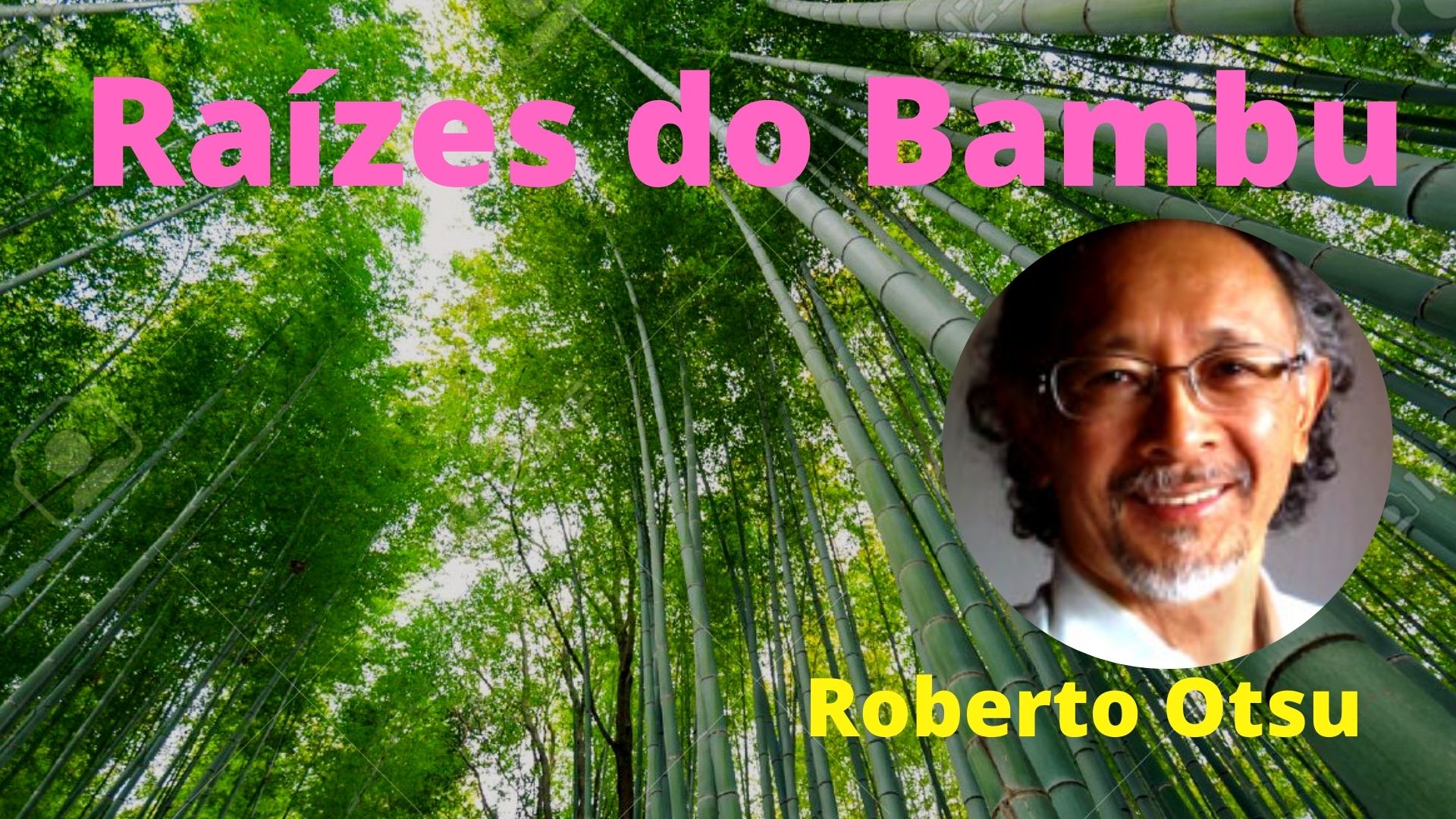 Raízes do Bambu e Perseverança