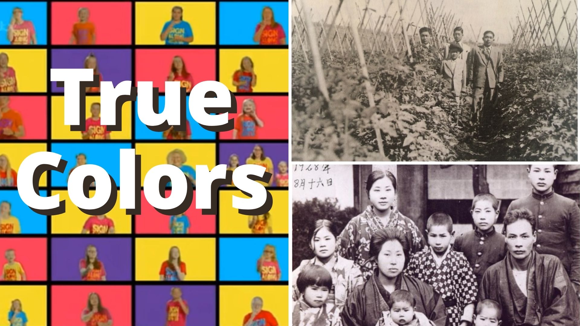Cores Verdadeiras e Ikigai – True Colors