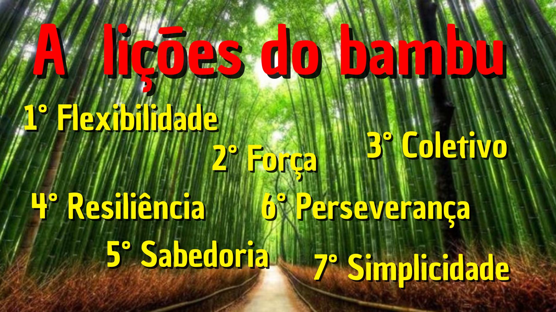 As lições do bambu